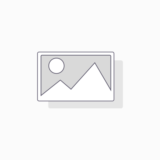 TechWolf Ticket